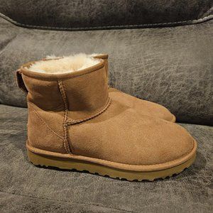 Uggs New size 7